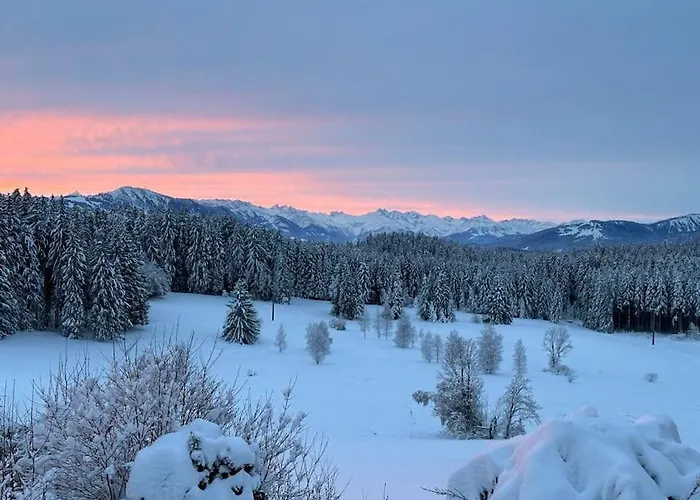 Appartement Alpentraum: Luxuswohnung Mit Atemberaubendem Blick Buchenberg (Bavaria)