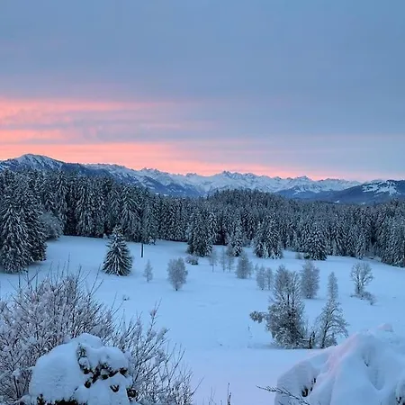 Daire Alpentraum: Luxuswohnung Mit Atemberaubendem Blick Buchenberg (Bavaria)